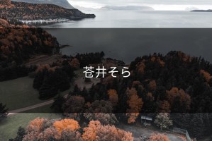 苍井そら
