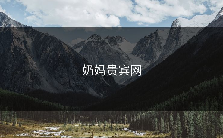 奶妈贵宾网