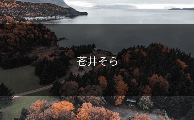 苍井そら